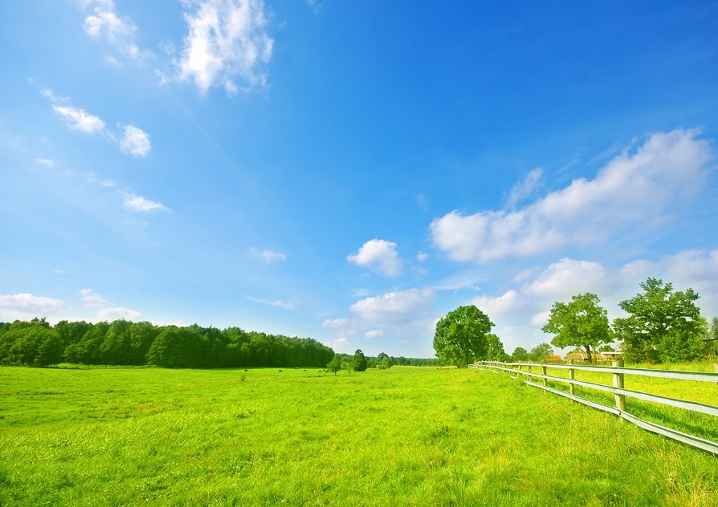 Chattanooga Area Homes With Land